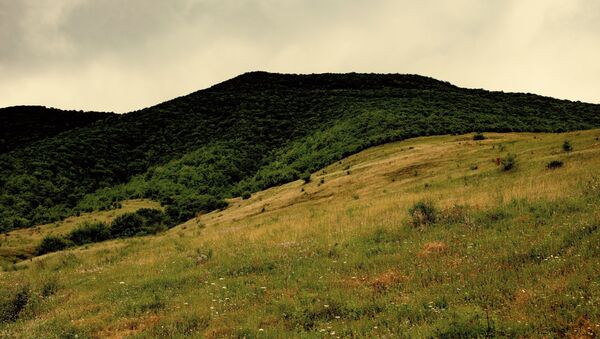 Юго-осетинский заповедник в Зонкаре - Sputnik Южная Осетия
