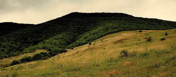 Юго-осетинский заповедник в Зонкаре Юго-осетинский заповедник в Зонкаре - Sputnik Южная Осетия