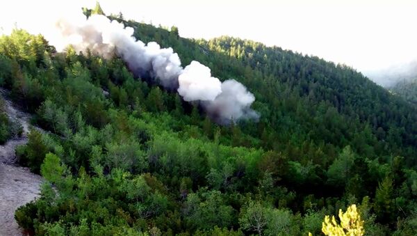 Ликвидация лесных пожаров в Красноярском крае и Иркутской области - Sputnik Южная Осетия