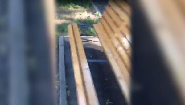 Вандалы сломали скамейки в сквере на улице Калинина - Sputnik Южная Осетия