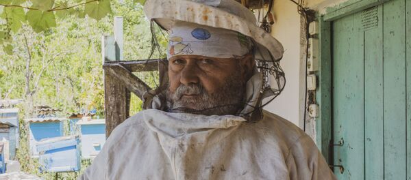 Сбор меда в селении Дидмуха Сбор меда в селении Дидмуха - Sputnik Южная Осетия