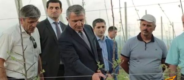 Новые яблоневые сады в Южной Осетии Новые яблоневые сады в Южной Осетии - Sputnik Южная Осетия