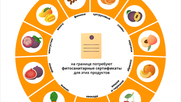 Фрукты, цветы и овощи: сколько можно провезти в Россию - Sputnik Южная Осетия