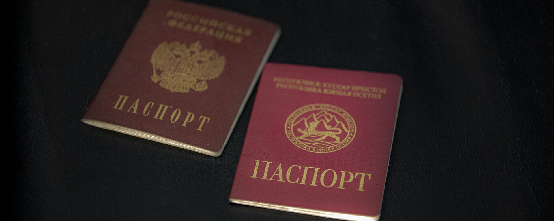 Паспорт РФ и паспорт Южной Осетии - Sputnik Южная Осетия, 1920, 03.12.2021