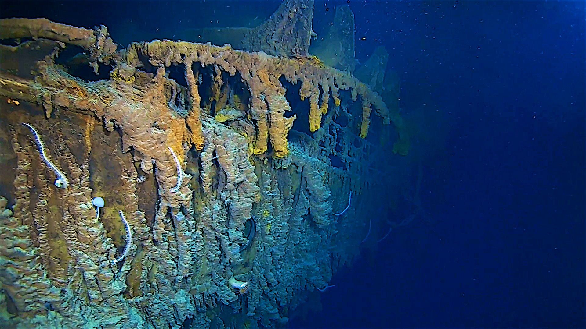 Конец “Титаника”: как выглядит затонувший лайнер - Sputnik Южная Осетия, 1920, 09.04.2022