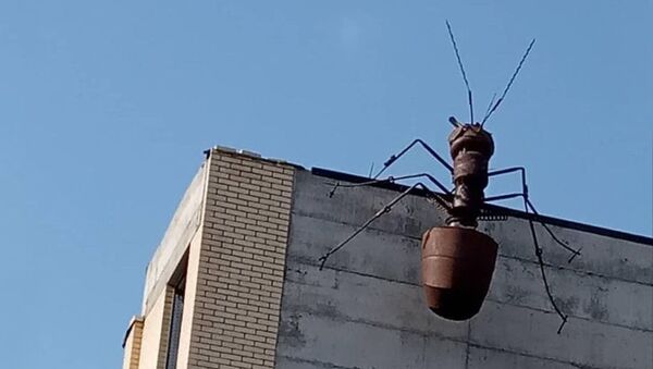 На одной из многоэтажек Владикавказа появилась скульптура муравья - Sputnik Южная Осетия