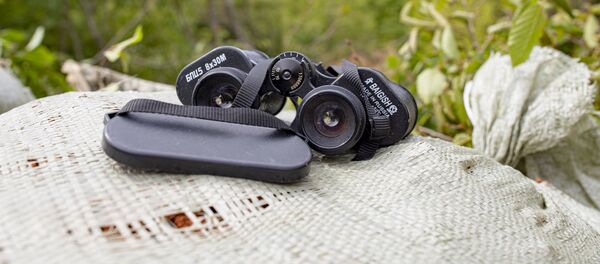 Цнелис Цнелис - Sputnik Южная Осетия