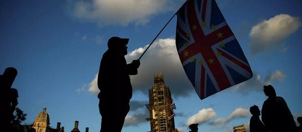 Противник Brexit в Лондоне  - Sputnik Южная Осетия