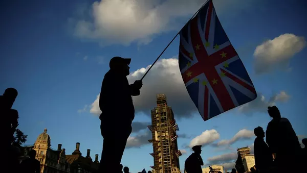 Противник Brexit в Лондоне  - Sputnik Южная Осетия