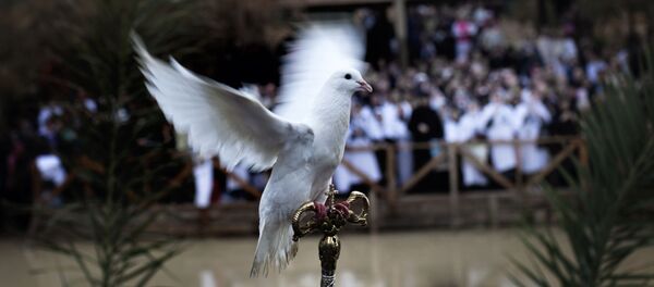 Голубь мира - Sputnik Южная Осетия