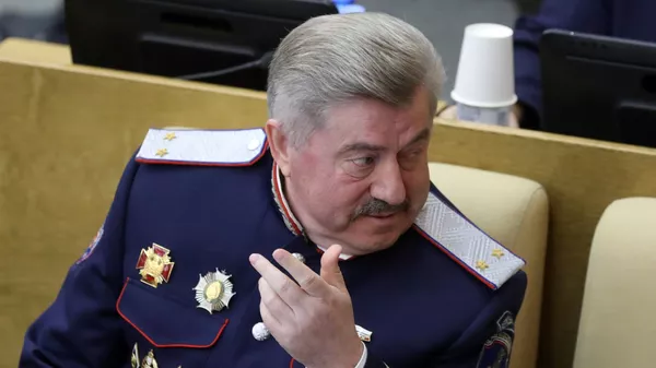 Депутат Госдумы России Виктор Водолацкий