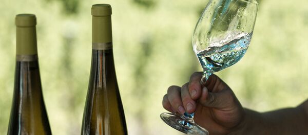 Винодельческое хозяйство Винодельческое хозяйство - Sputnik Южная Осетия