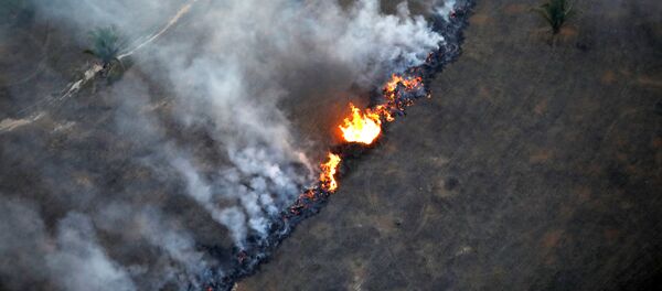 Вид сверху на пожар в районе тропического леса Амазонии около Порту-Велью, штат Рондония, Бразилия Вид сверху на пожар в районе тропического леса Амазонии около Порту-Велью, штат Рондония, Бразилия - Sputnik Южная Осетия