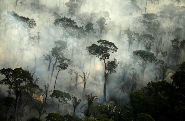 Дым над горящим лесом во время пожара в районе тропического леса Амазонии около Порту-Велью, штат Рондония, Бразилия - Sputnik Южная Осетия