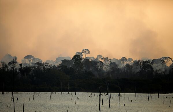 Дым вздымается над горящим тропическим лесом Амазонии около реки в Итапуа-ду-Уэсте, штат Рондония, Бразилия - Sputnik Южная Осетия