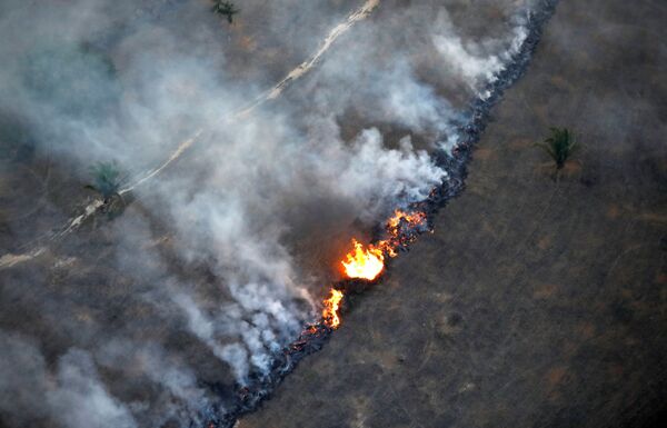 Вид сверху на пожар в районе тропического леса Амазонии около Порту-Велью, штат Рондония, Бразилия - Sputnik Южная Осетия