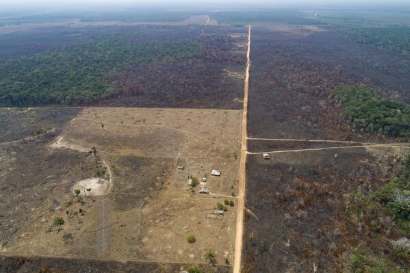 Аэрофотосъемка сгоревшего участка в лесах Амазонии, Бразилия - Sputnik Южная Осетия
