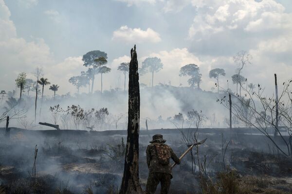 Тушение лесных пожаров в Бразилии - Sputnik Южная Осетия