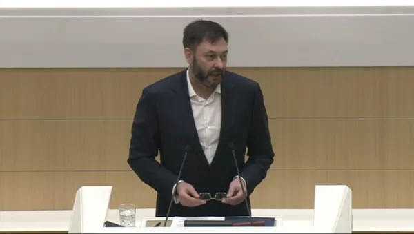 Яркая картина: Вышинский описал свободу слова на Украине