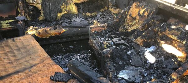 Хуссар Иры Дзауы районы басыгъд хисӕрмагонд хӕдзар Хуссар Иры Дзауы районы басыгъд хисӕрмагонд хӕдзар - Sputnik Хуссар Ирыстон