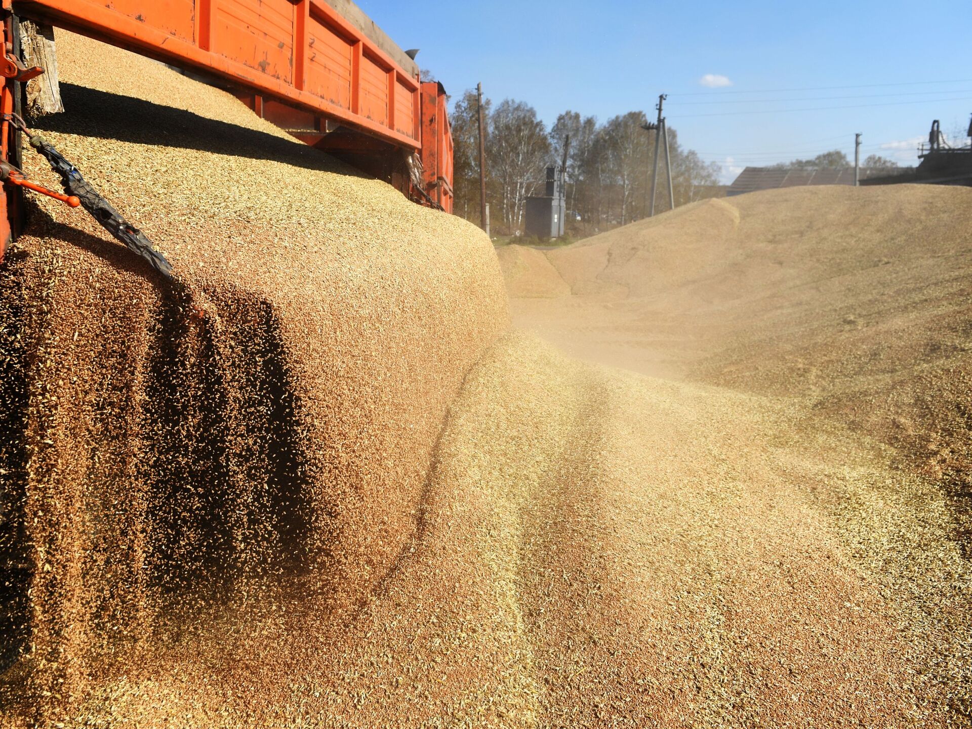 5 млн тонн в год. Экспорт зерна. Экспорт пшеницы. Отгрузка зерна. Импорт пшеницы.