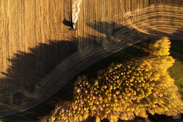 Уборка урожая зерновых в Новосибирской области - Sputnik Южная Осетия