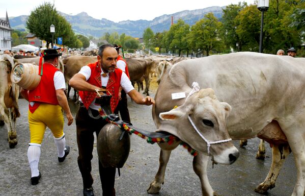 Участник ежегодной выставки скота в швейцарском Аппенцелле - Sputnik Южная Осетия