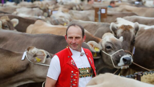 Участник ежегодной выставки скота в швейцарском Аппенцелле - Sputnik Южная Осетия