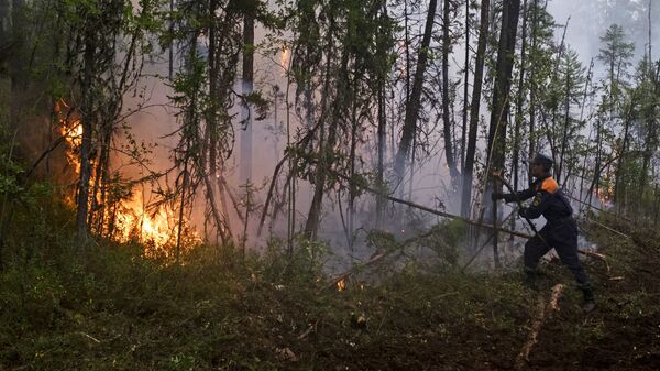 Лесной пожар - Sputnik Южная Осетия