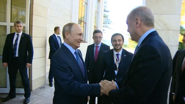 Путин включил для Эрдогана хорошую погоду в Сочи - Sputnik Южная Осетия