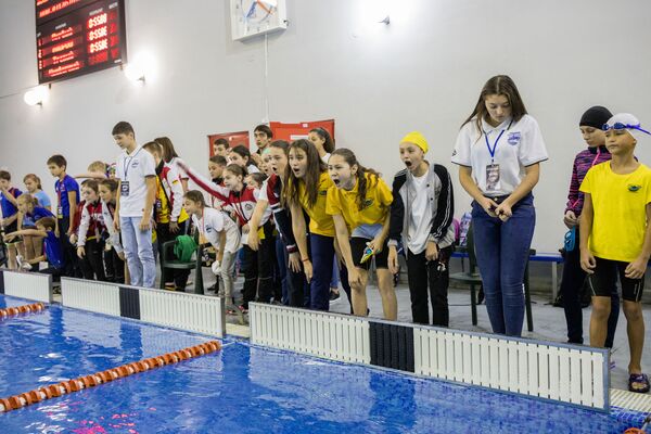 Объединяем кавказский регион: в Цхинвале стартовали соревнования по плаванию  - Sputnik Южная Осетия
