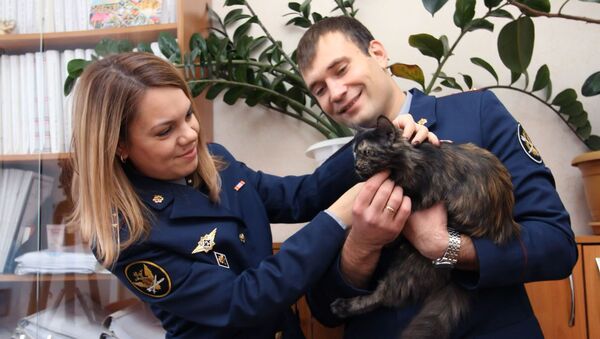 Кошка-наркокурьер поймана с поличным - Sputnik Южная Осетия