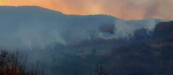 Пожар в лесу Южной Осетии - Sputnik Южная Осетия