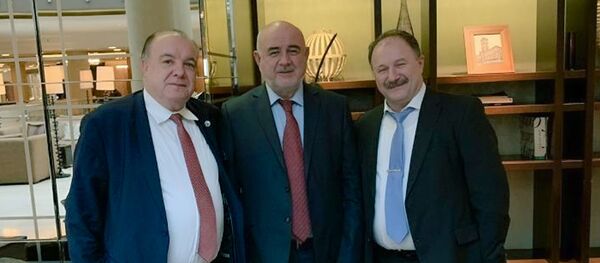 Хуссар Иры ФХМ сӕргълӕууӕг фембӕлд Германийы парламенты депутаттимӕ Хуссар Иры ФХМ сӕргълӕууӕг фембӕлд Германийы парламенты депутаттимӕ - Sputnik Хуссар Ирыстон