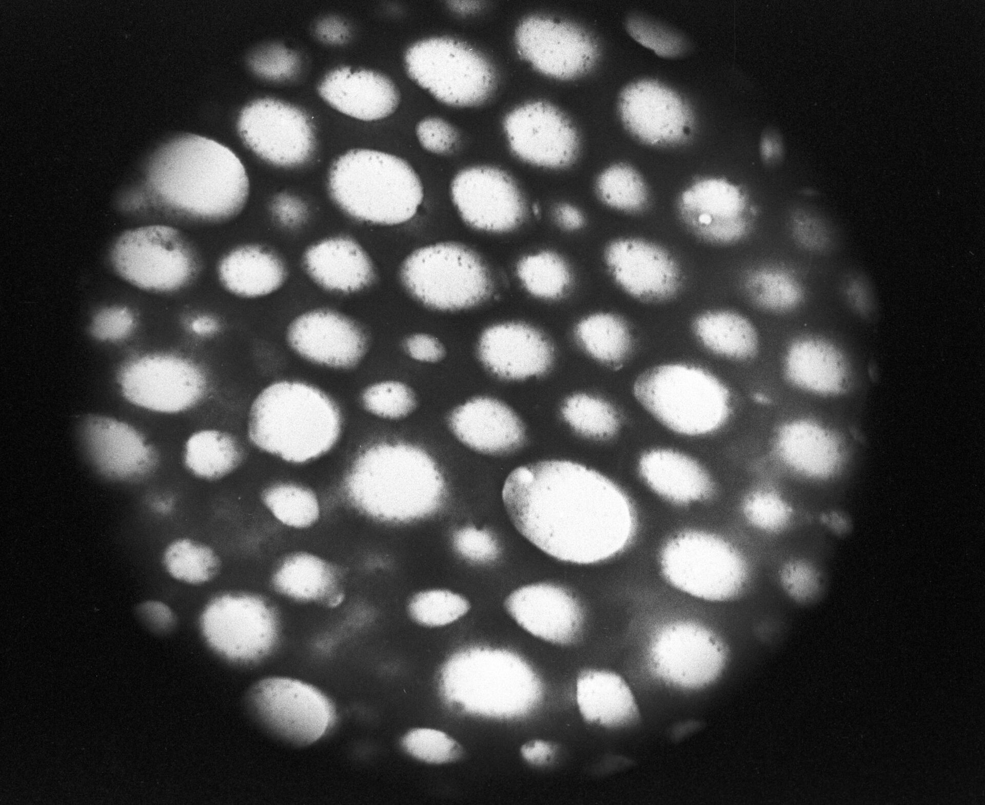 Искусственная кровь под микроскопом - Sputnik Южная Осетия, 1920, 26.10.2021
