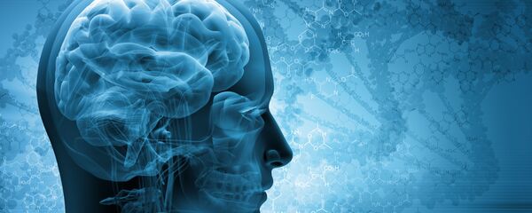 Мозг Мозг - Sputnik Южная Осетия