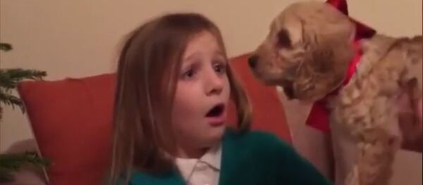 Девочка и щенок - Sputnik Южная Осетия