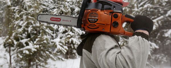 Вырубка елок перед Новым годом - Sputnik Южная Осетия