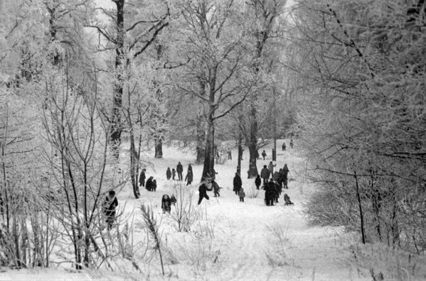 Жители московского микрорайона Ясенево на прогулке в зимнем парке - Sputnik Южная Осетия