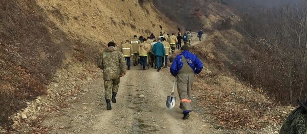 Тушение пожара Тушение пожара - Sputnik Южная Осетия