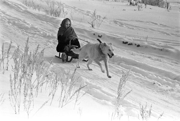 Собака везет девочку на санках, 1971 год - Sputnik Южная Осетия