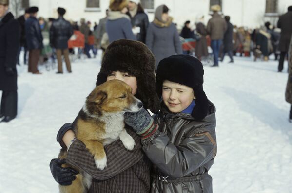 Мальчики с щенком в Каргополе, 1987 год - Sputnik Южная Осетия