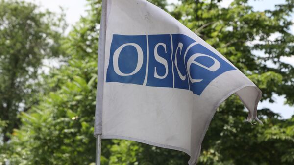 Флаг с символикой Организации по безопасности и сотрудничеству в Европе (ОБСЕ) - Sputnik Южная Осетия