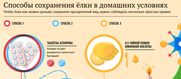 Как продлить век живой новогодней ёлки - Sputnik Южная Осетия