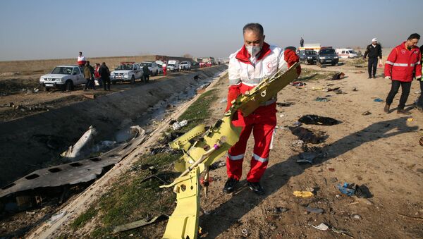 В Иране рухнул украинский пассажирский лайнер - Sputnik Южная Осетия