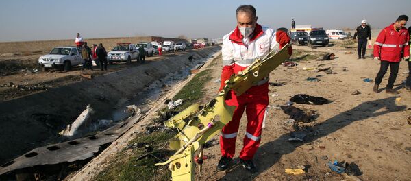 В Иране рухнул украинский пассажирский лайнер В Иране рухнул украинский пассажирский лайнер - Sputnik Южная Осетия