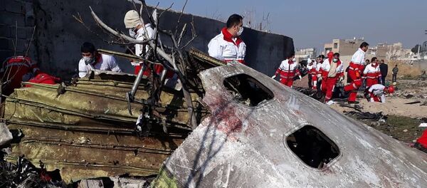 Крушение украинского самолета в Иране Крушение украинского самолета в Иране - Sputnik Южная Осетия