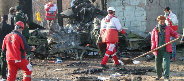 На месте крушения пассажирского лайнера Украины Boeing 737-800 На месте крушения пассажирского лайнера Украины Boeing 737-800 - Sputnik Южная Осетия