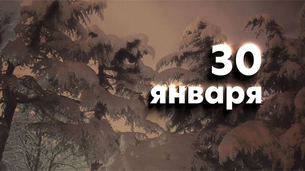 День 30 января - Sputnik Южная Осетия