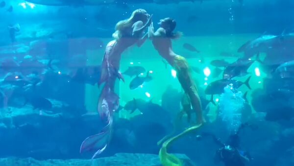 Завораживающее шоу устроили русалки в самом большом в мире аквариуме Дубая - Sputnik Южная Осетия